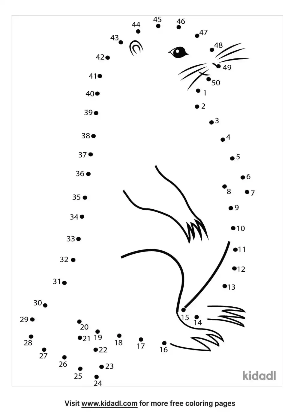 Groundhog Dot To Dot (Medium)