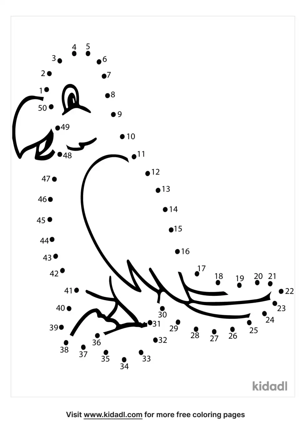 Parrot Dot To Dot (Medium)