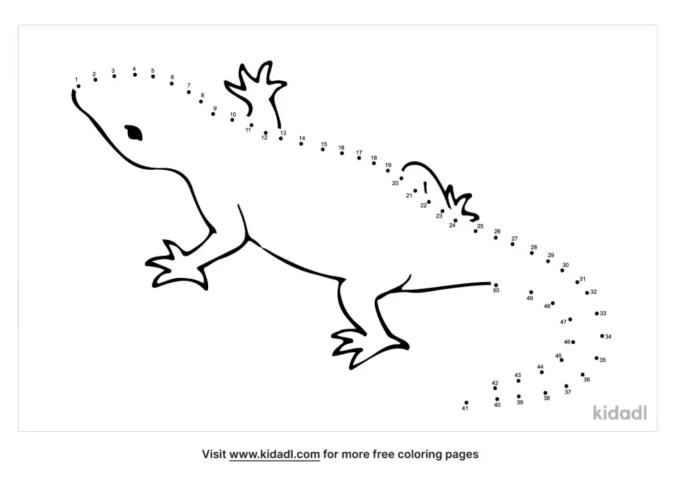 Gecko Dot To Dot (Medium)