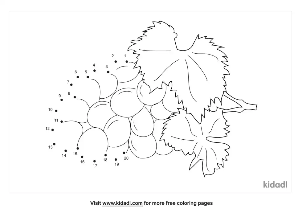 Grapes Dot To Dot (Easy)