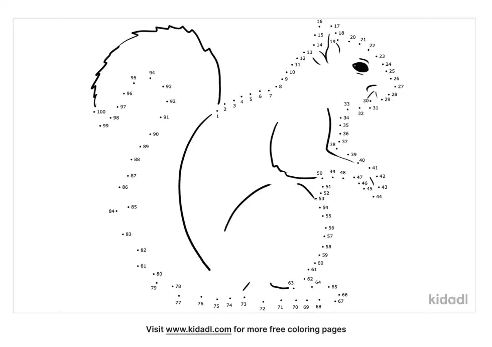 Squirrel Dot To Dot (Hard)