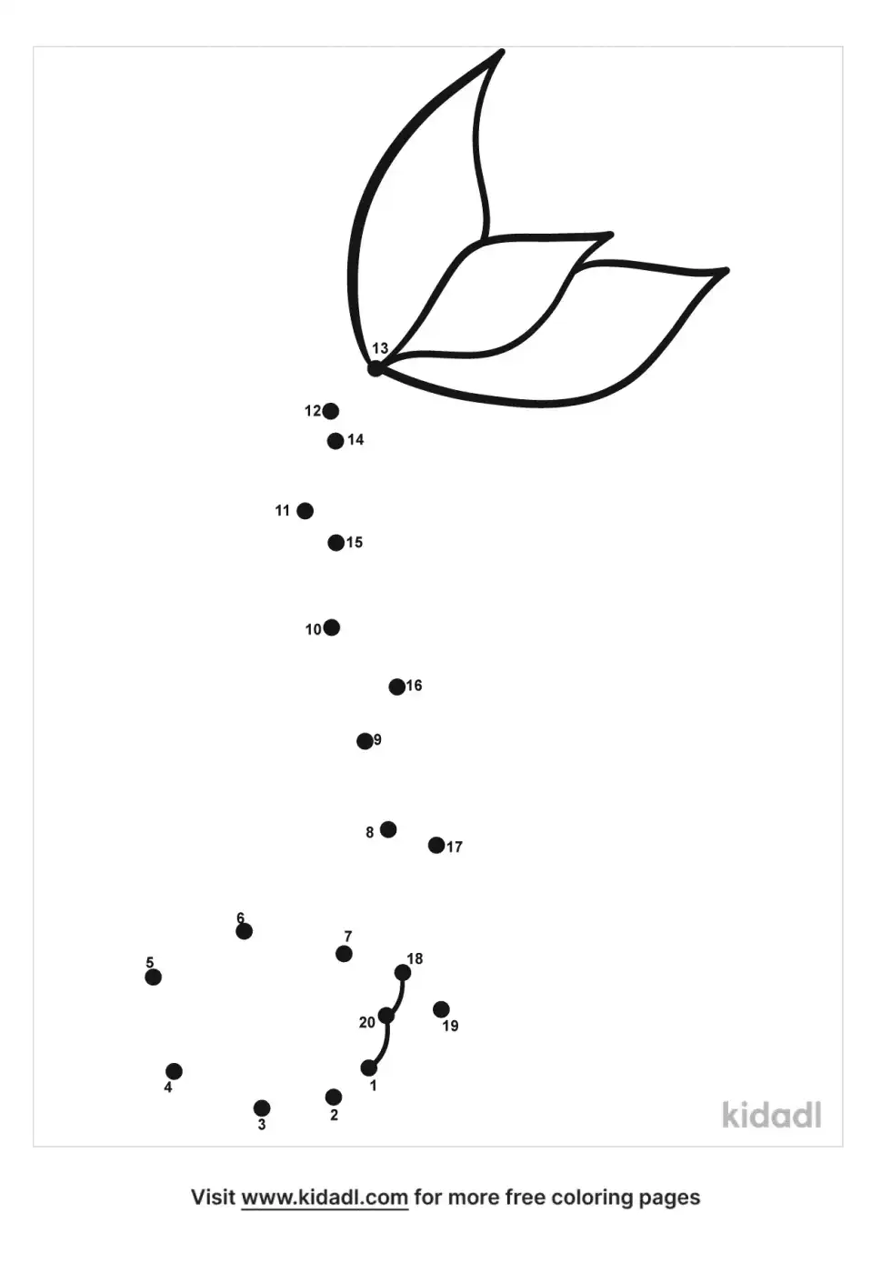 Seed Dot To Dot (Easy)