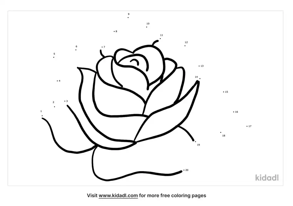Rose Dot To Dot (Easy)