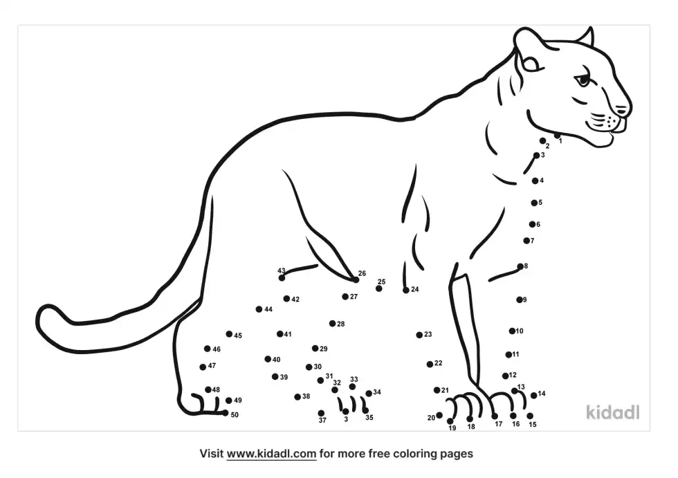 Panther Dot To Dot (Medium)