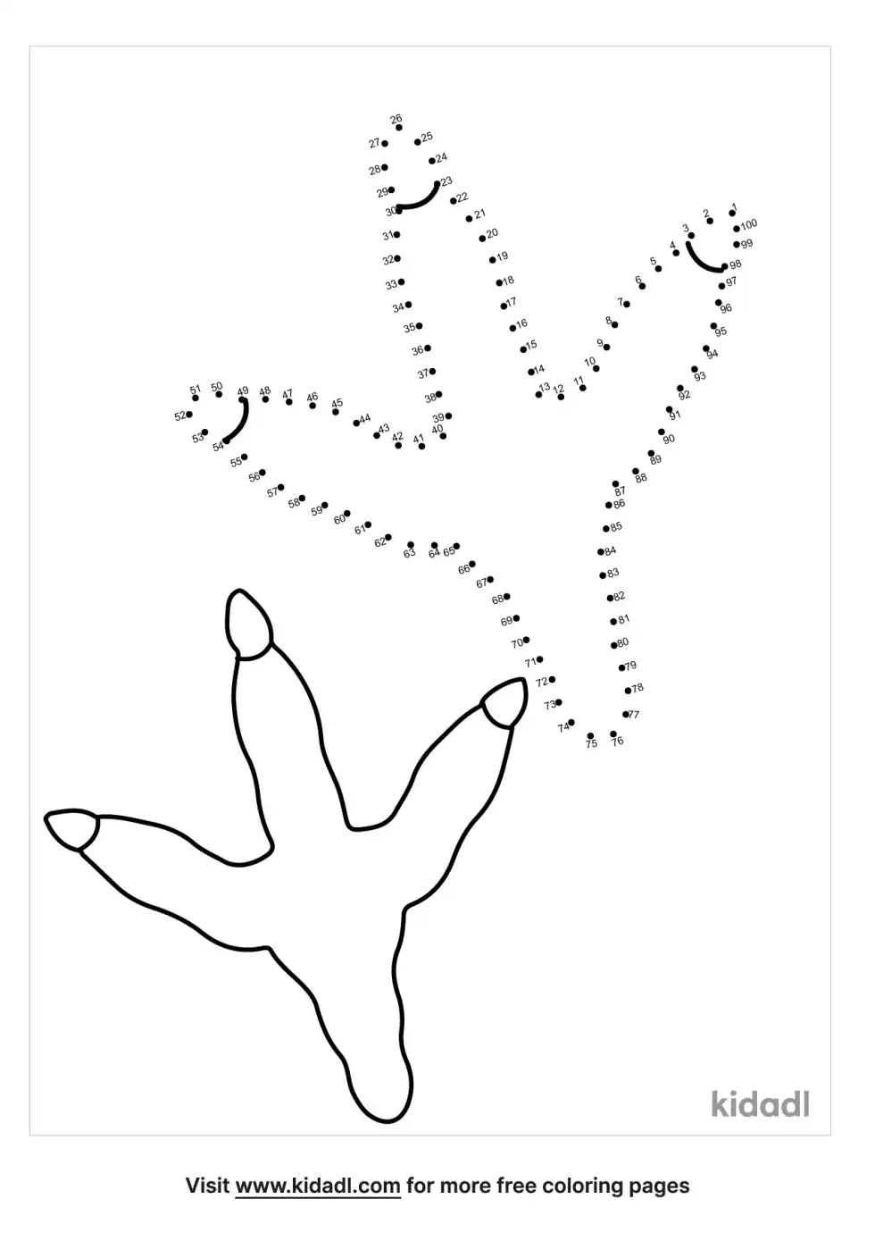 Bird Feet Dot To Dot (Hard)