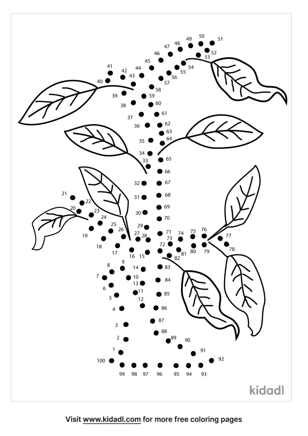 Fig Tree Dot To Dot (Hard)