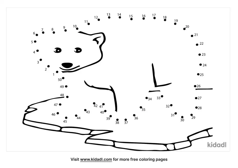 Bear Dot To Dot (Hard)