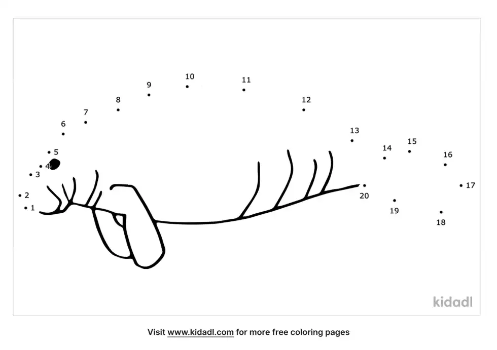 Manatee Dot To Dot (Easy)