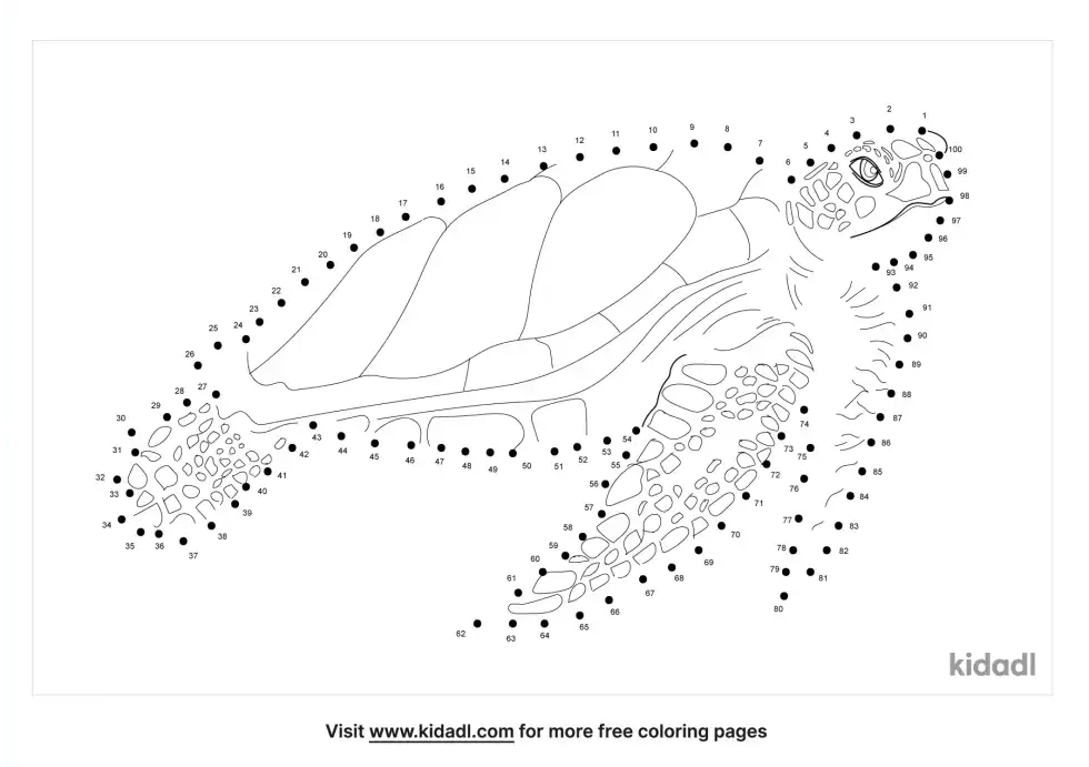 Loggerhead Dot To Dot (Hard)