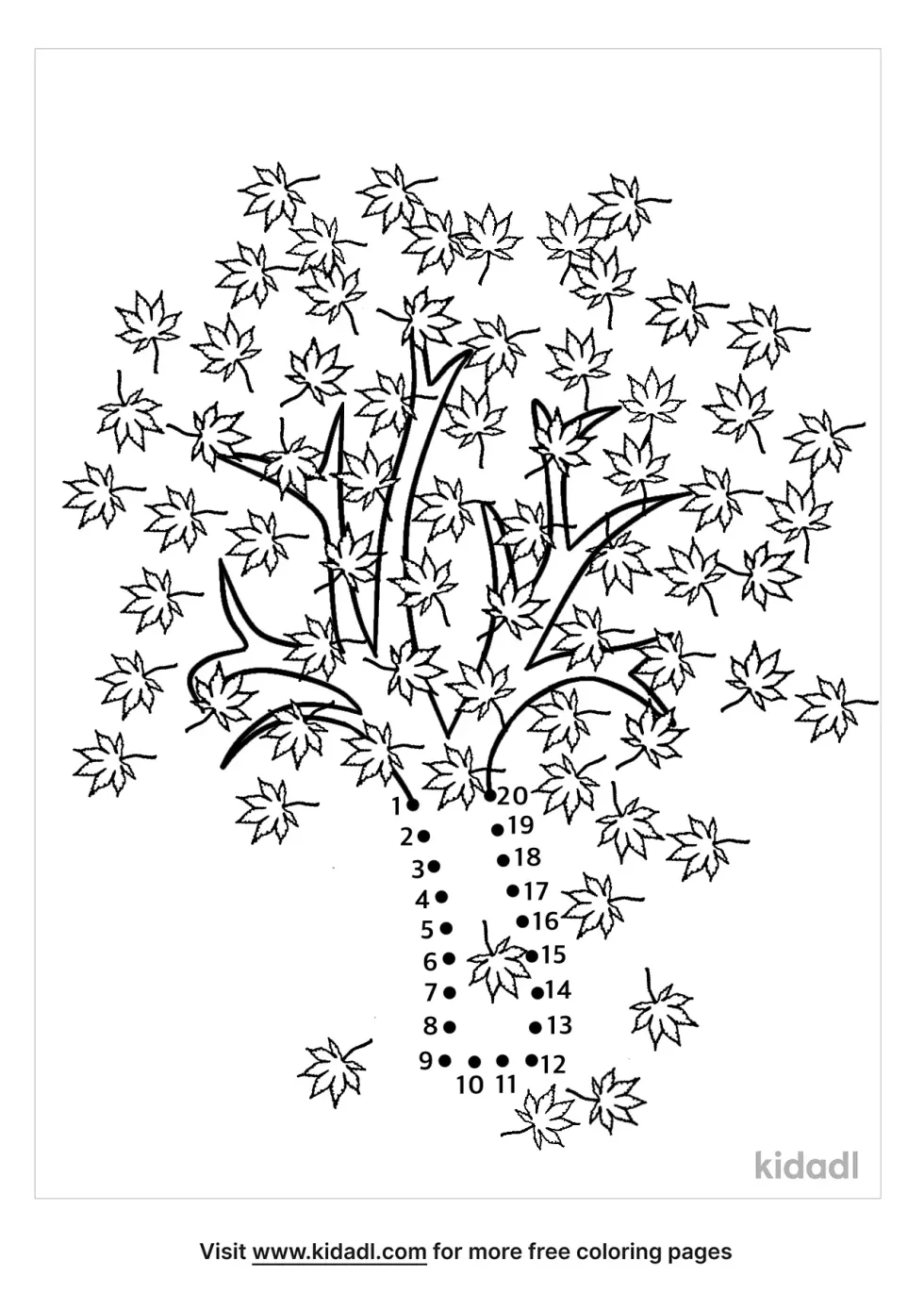 Maple Tree Dot To Dot (Easy) | Kidadl