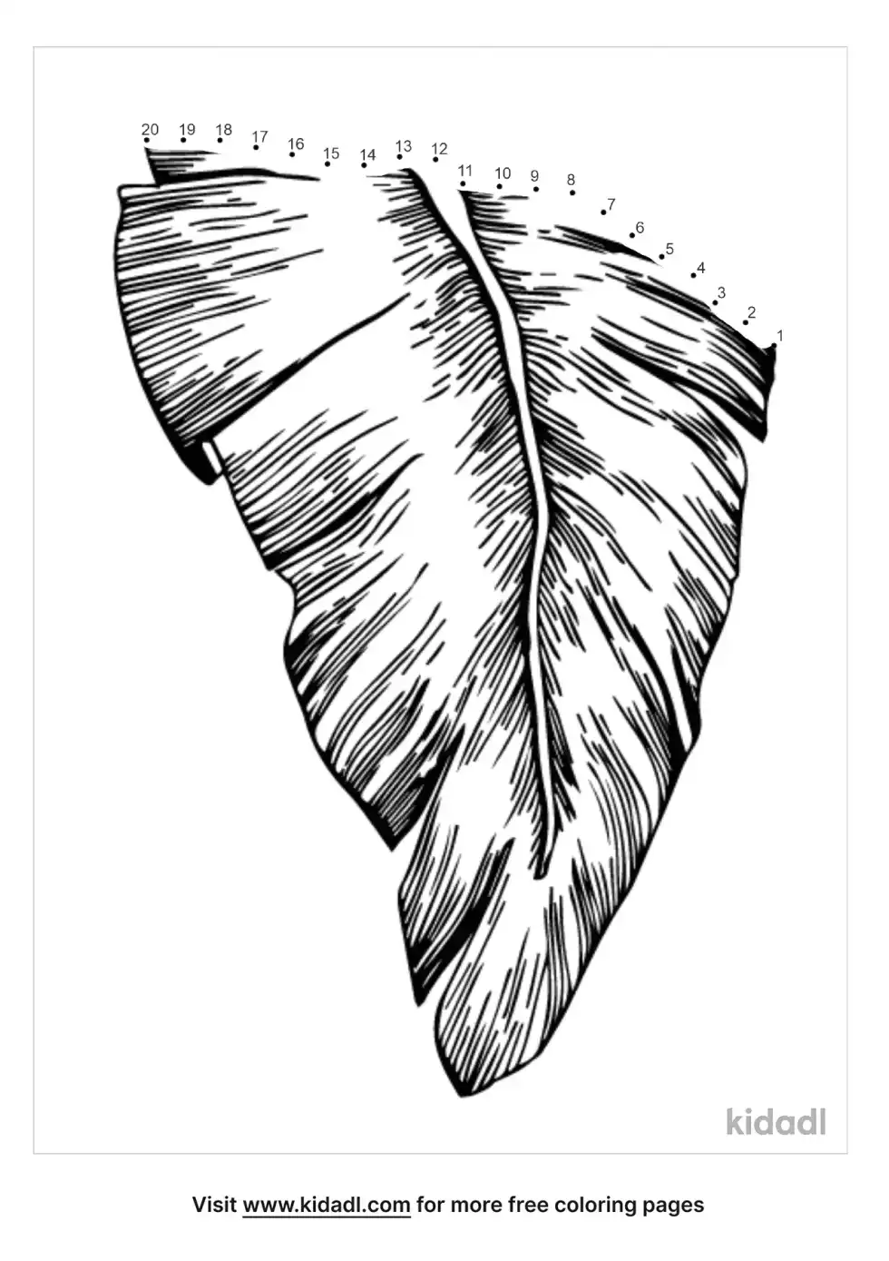 Palm Leaf Dot To Dot (Easy)
