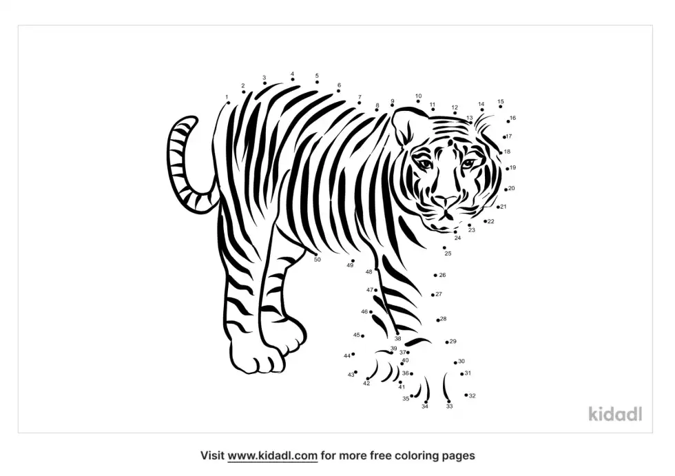 Tiger Dot To Dot (Medium)