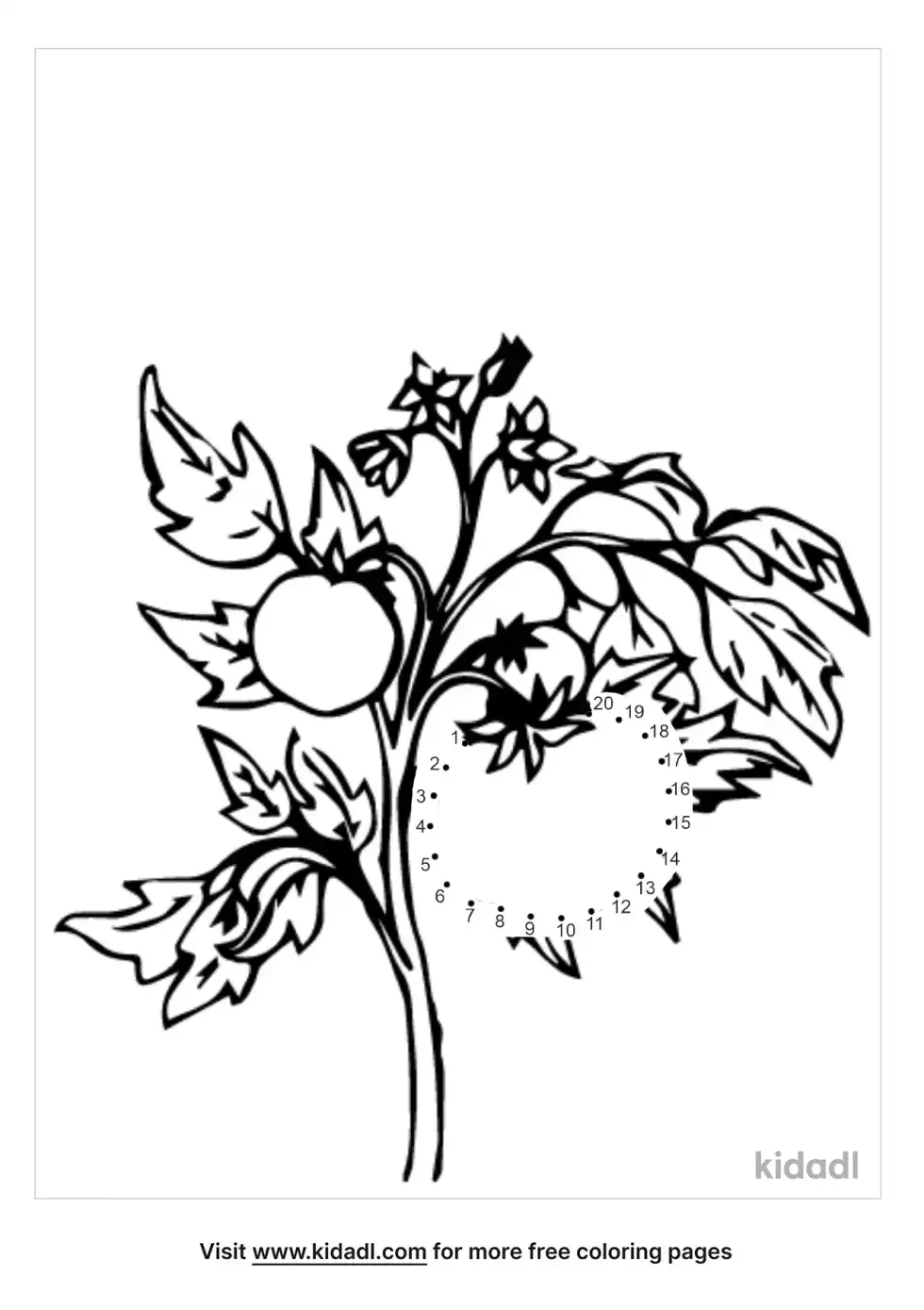 Tomato Dot To Dot (Easy)