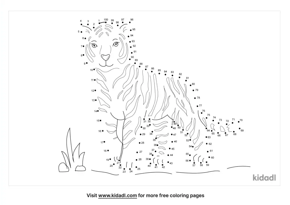 Chinese Tiger Dot To Dot (Hard)