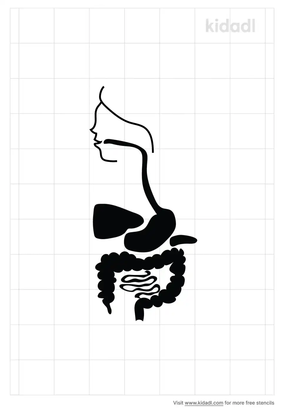 Digestive System Stencil