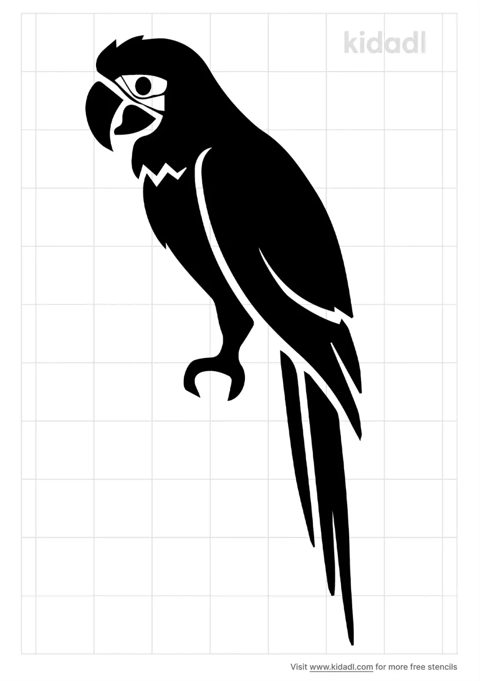 Conure Stencil | Kidadl
