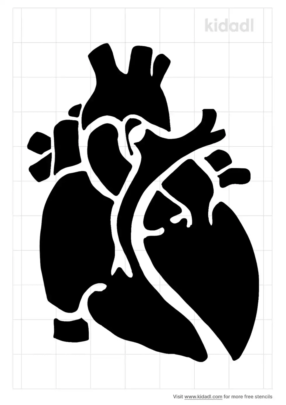 Heart Anatomy Stencil
