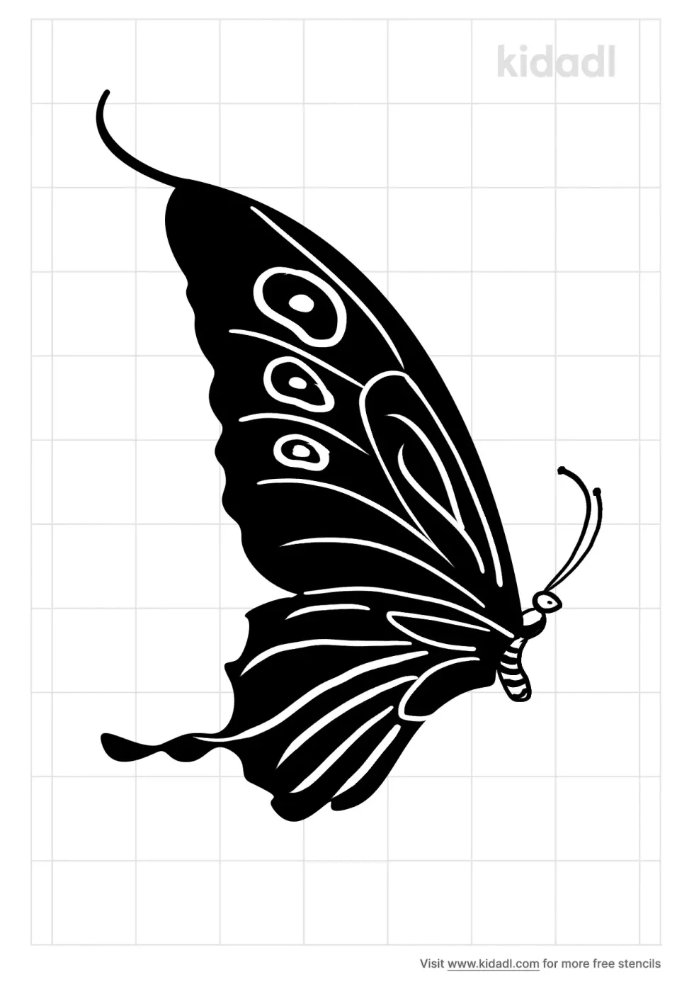 Butterfly Side