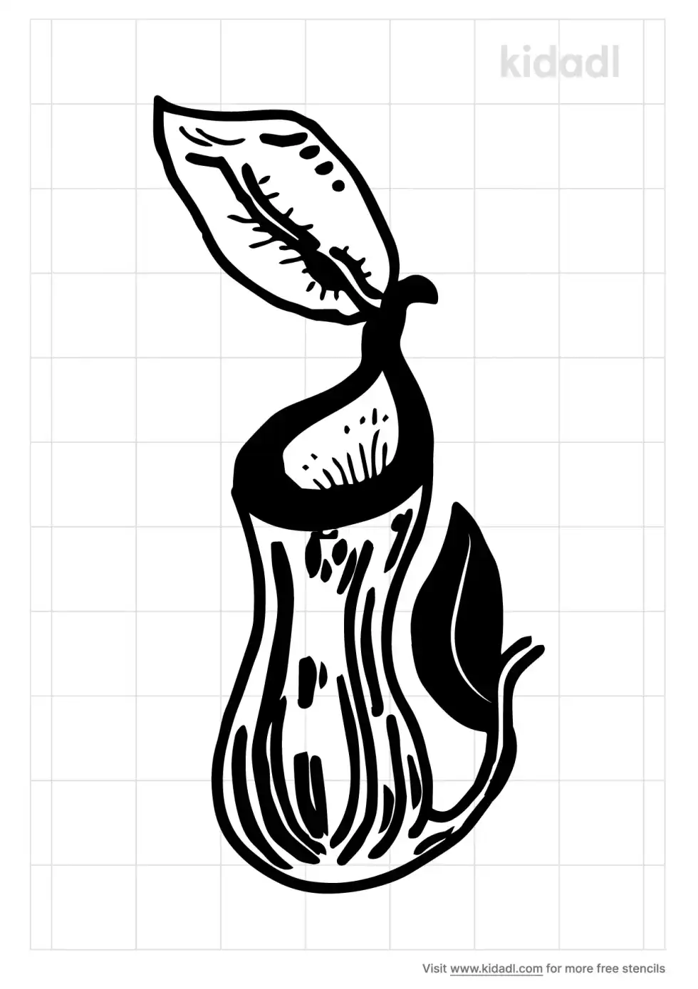 Pitcher Plant Stencil