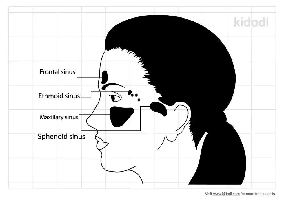 Nasal Medical Stencil