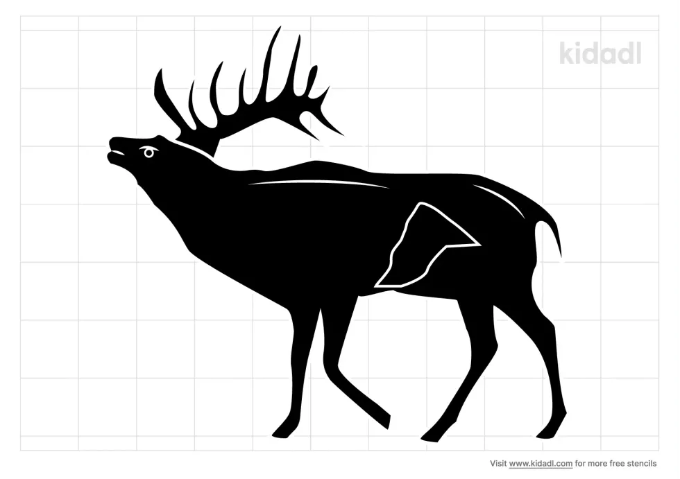 Mountain Elk