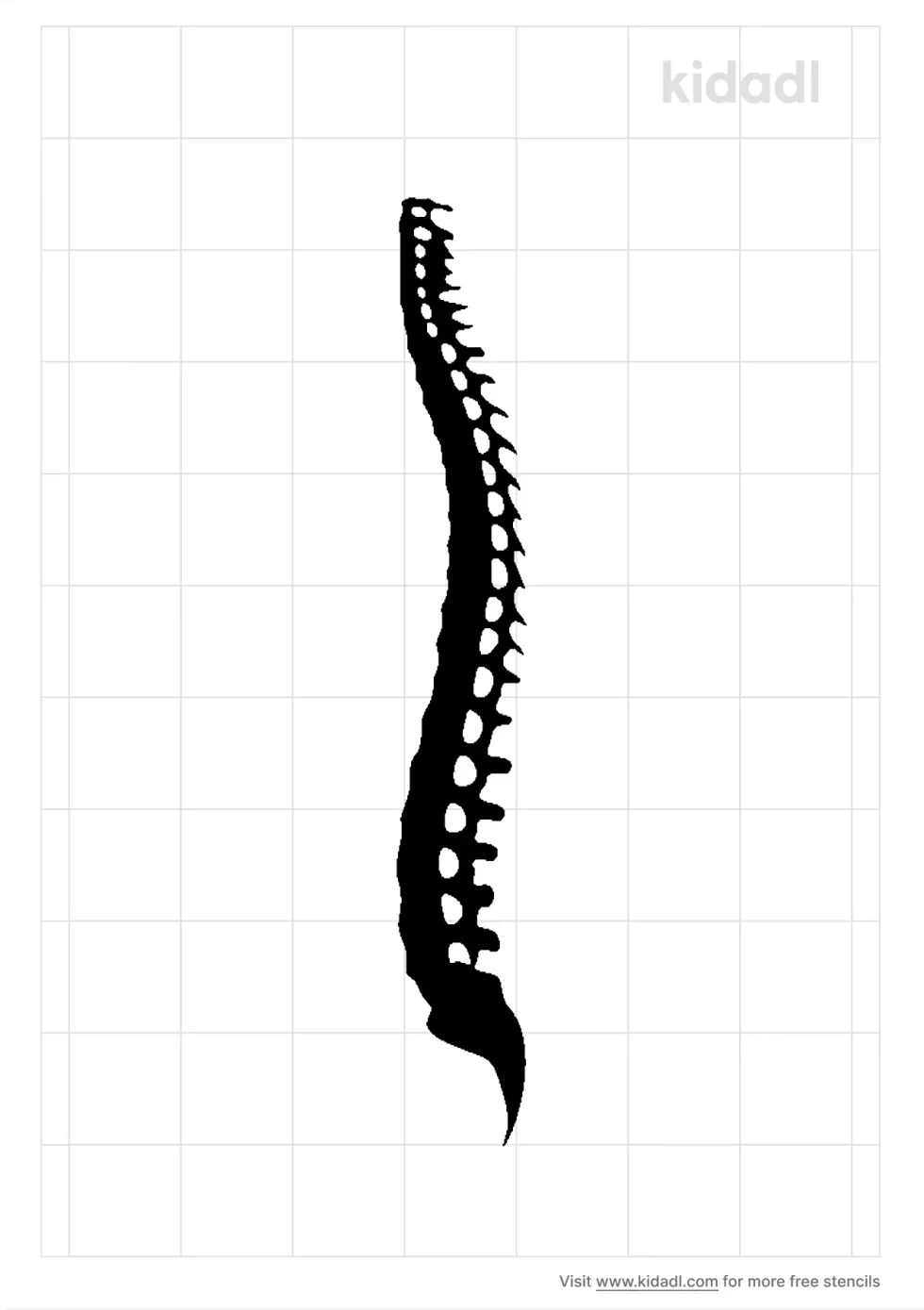 Spinal Cord Stencil