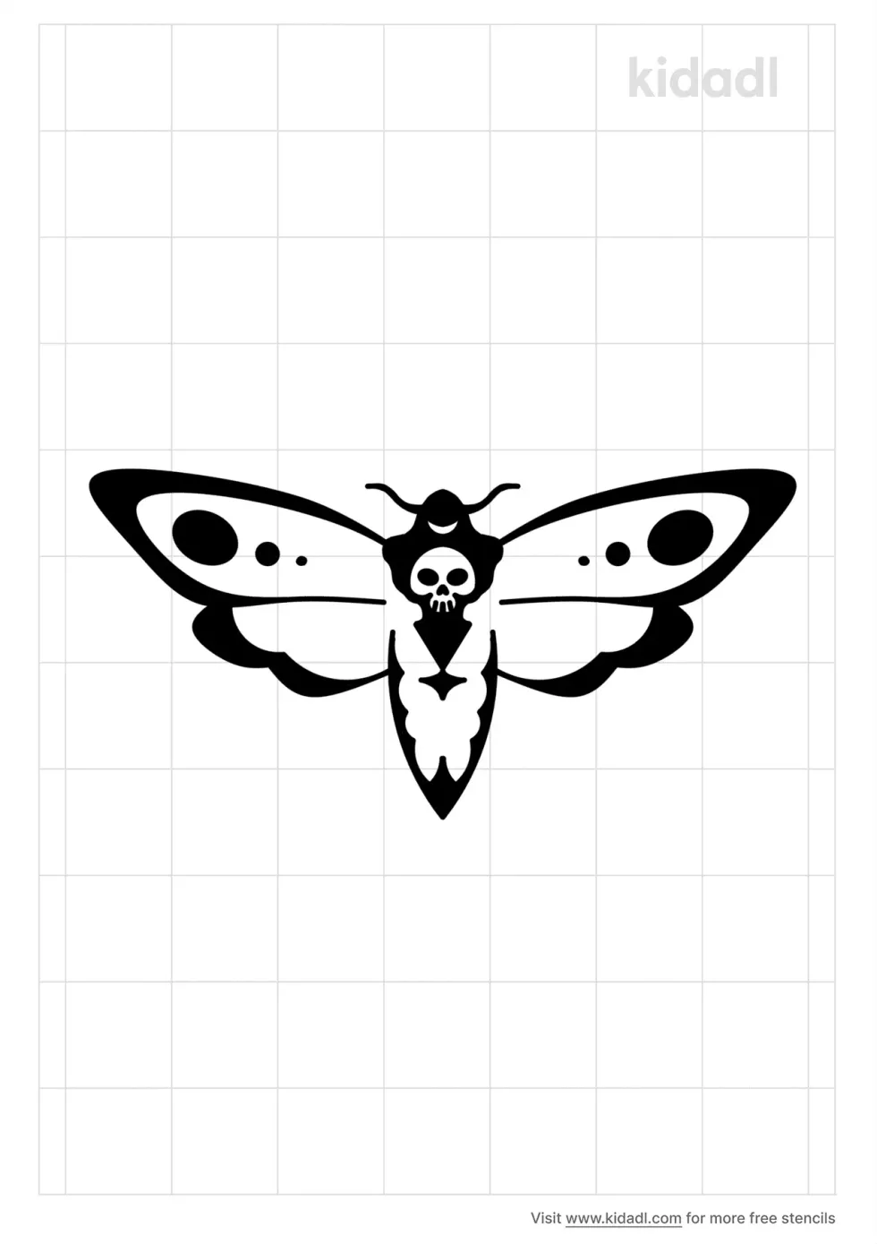 Death's Head Moth