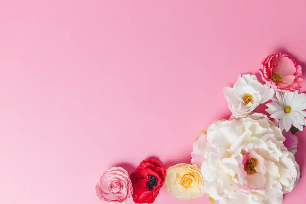 36 Facts About The Color Pink For All The Princesses By Heart