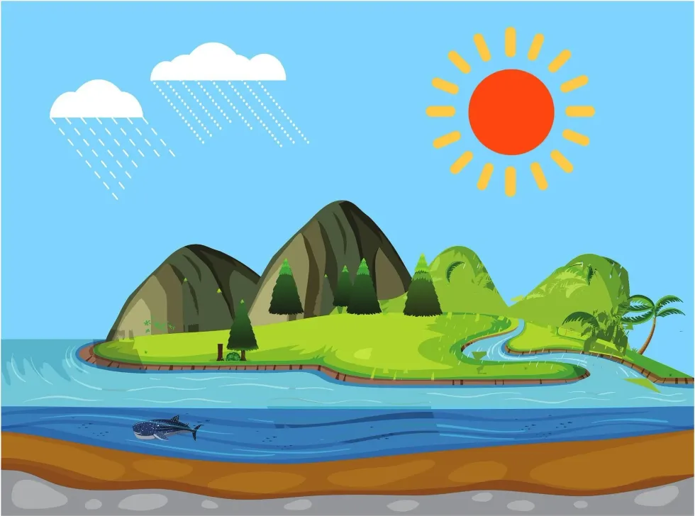 Why Is There A Water Cycle For Kids? Get Everything You Need Below