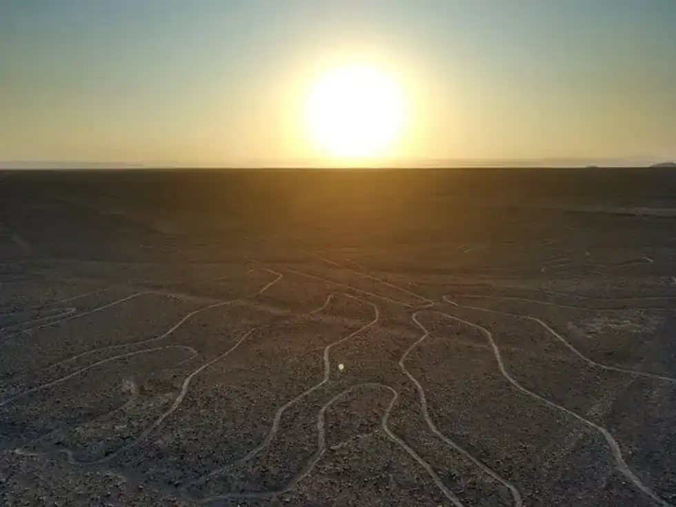 Nazca Lines Facts: A Group Of Geoglyphs Into Desert Sands