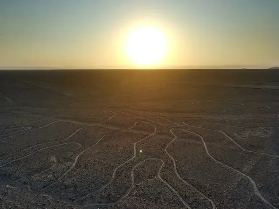 Nazca Lines Facts: A Group Of Geoglyphs Into Desert Sands