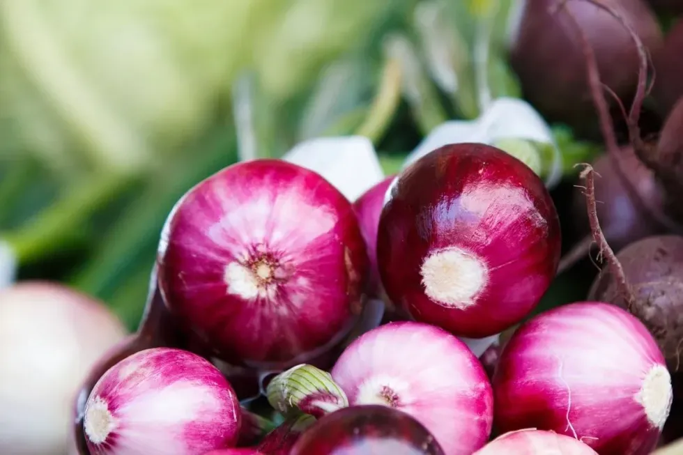 Purple Onion Nutrition Facts: Is It Better Than Other Onions?