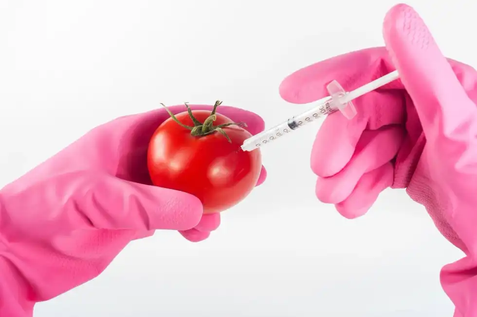 Fun Food Science for Kids: Healthy Habits