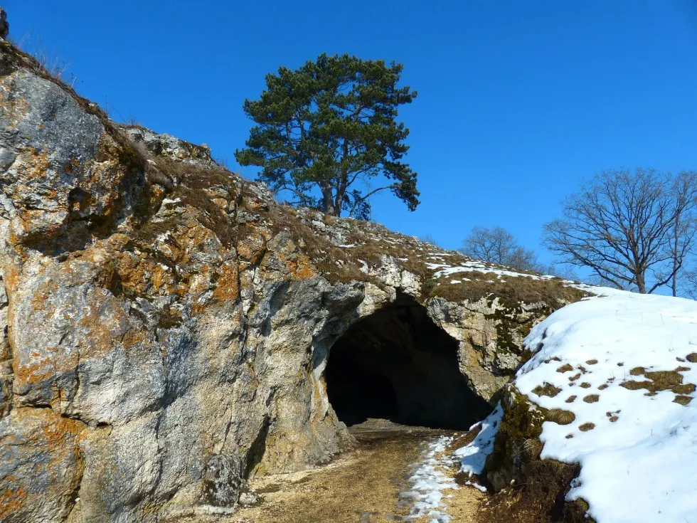 Paleolithic Houses: Were They Nomads, Where Did They Live And More