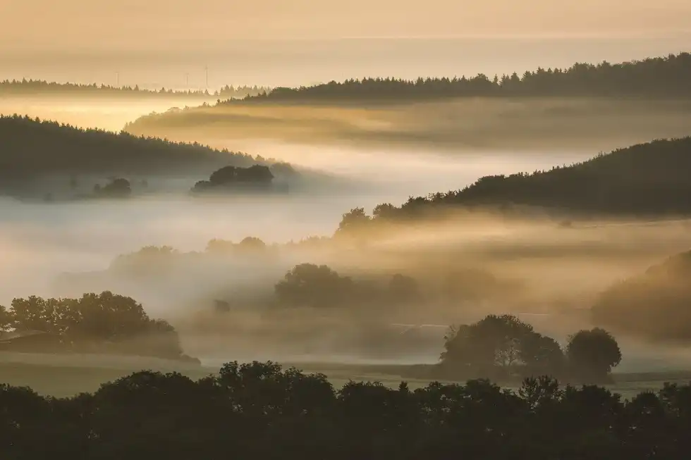 Types Of Fog: Everything You Need To Know About The Formation Of Fog