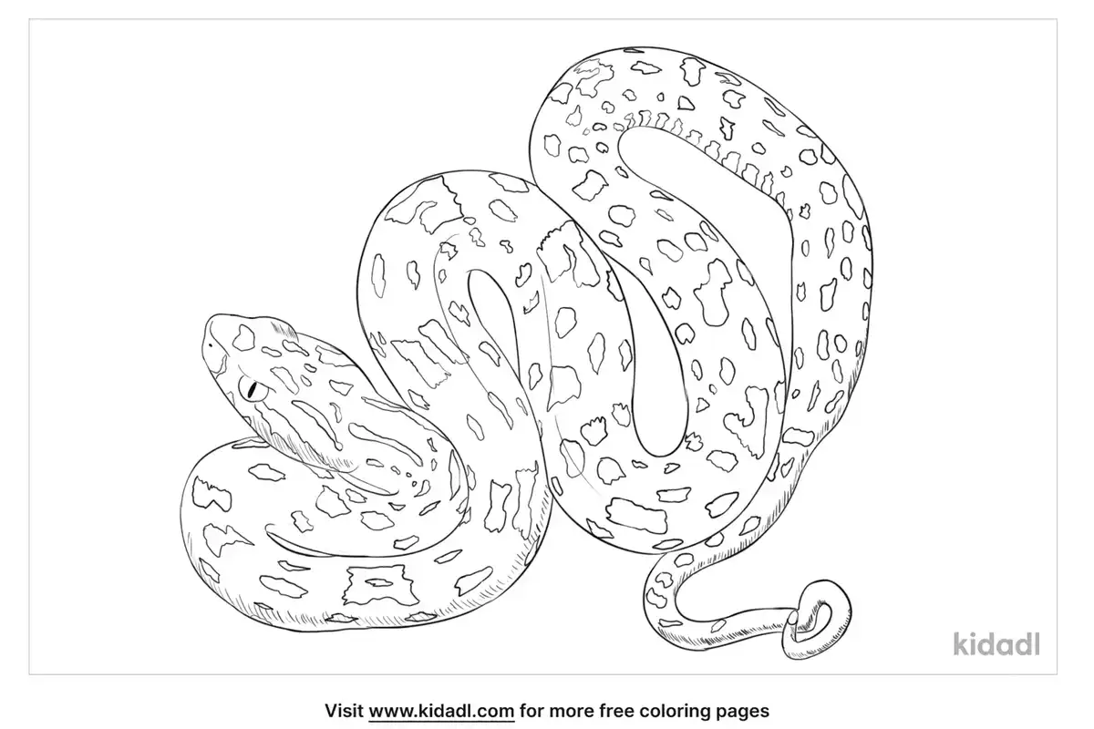 Fer-De-Lance Coloring Page