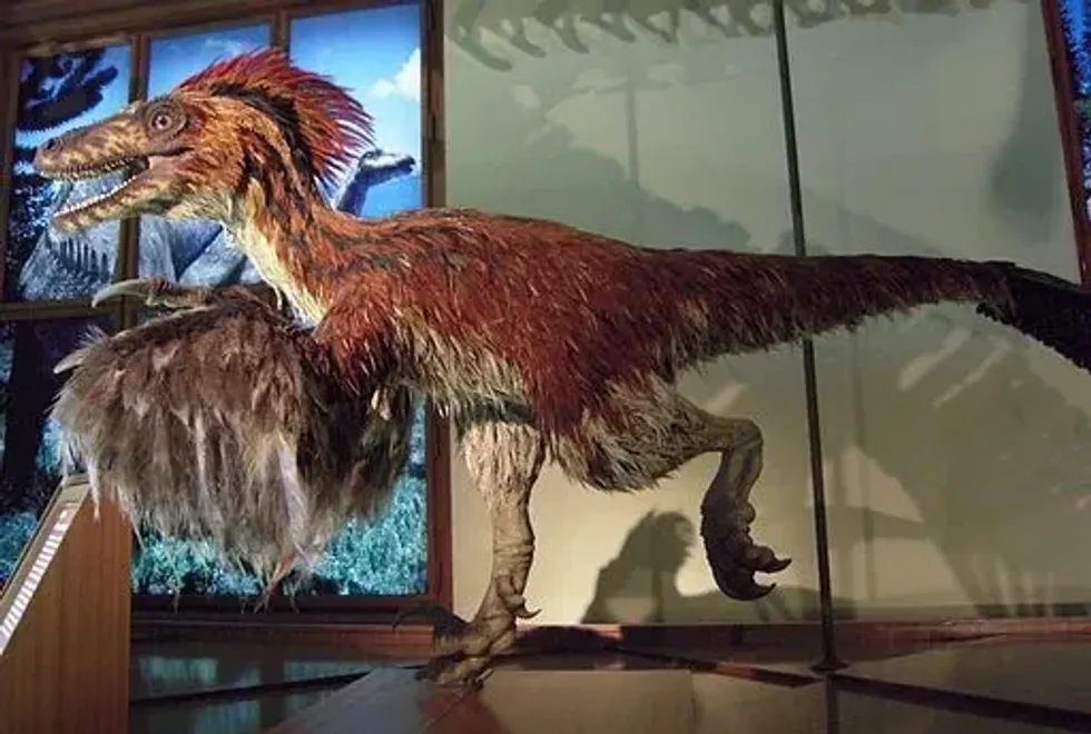 Incredible Darwinsaurus facts to blow your mind.