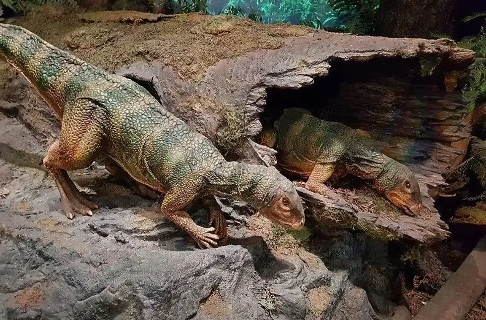 Informative and interesting Qantassaurus facts that everyone will enjoy.