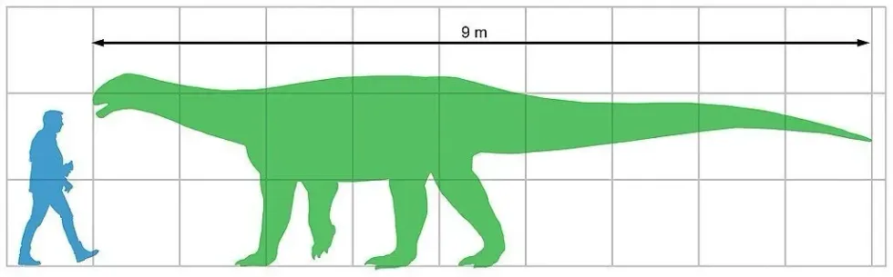 Ingentia facts tell us about the features of this species like how they weighed less than a Brachiosaurus