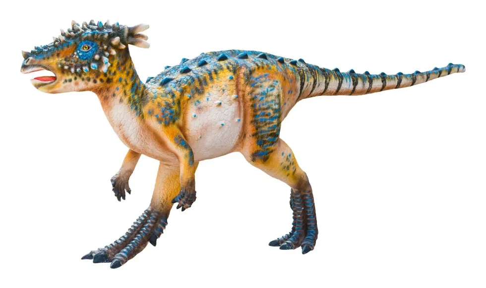 Initially, scientists suspected that this dinosaur was an aquatic animal but what really struck them was the skull structure of the Dracorex dinosaur. Continue reading to discover more interesting Dracorex facts that you're sure to love!