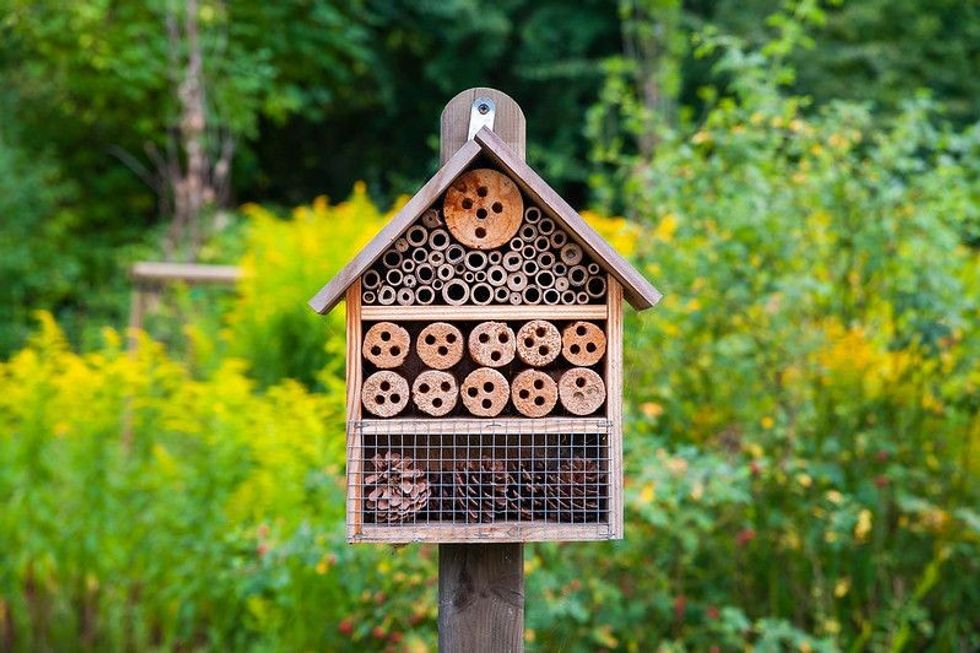 Insect hotel in the city park.