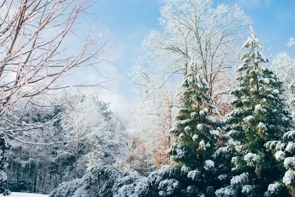 Inspirational quotes for winter are the perfect way to welcome the cold and magical season.