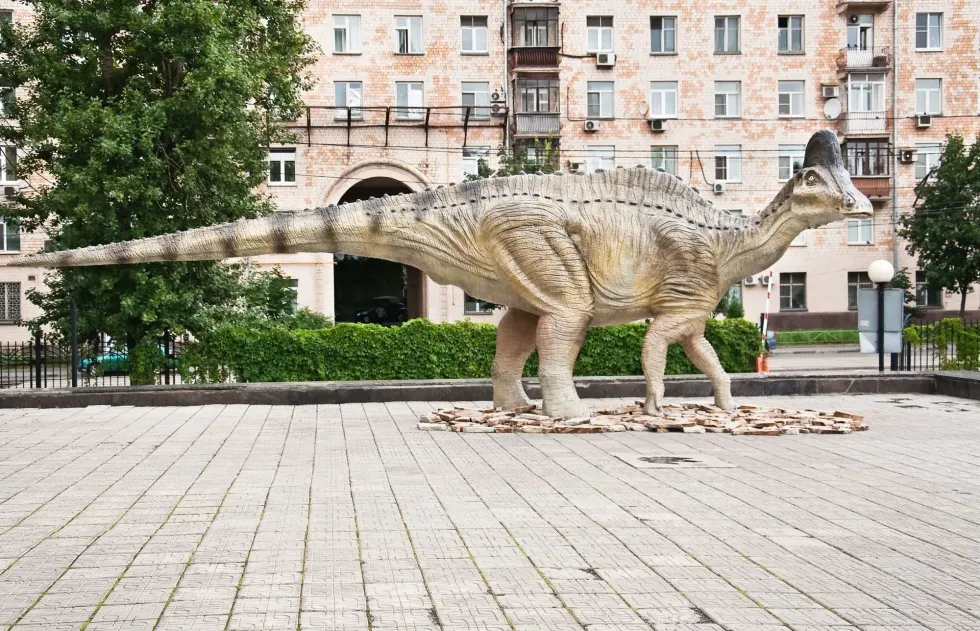 Interesting Amurosaurus facts include that they are the most abundant and well-described Russian dinosaurs.