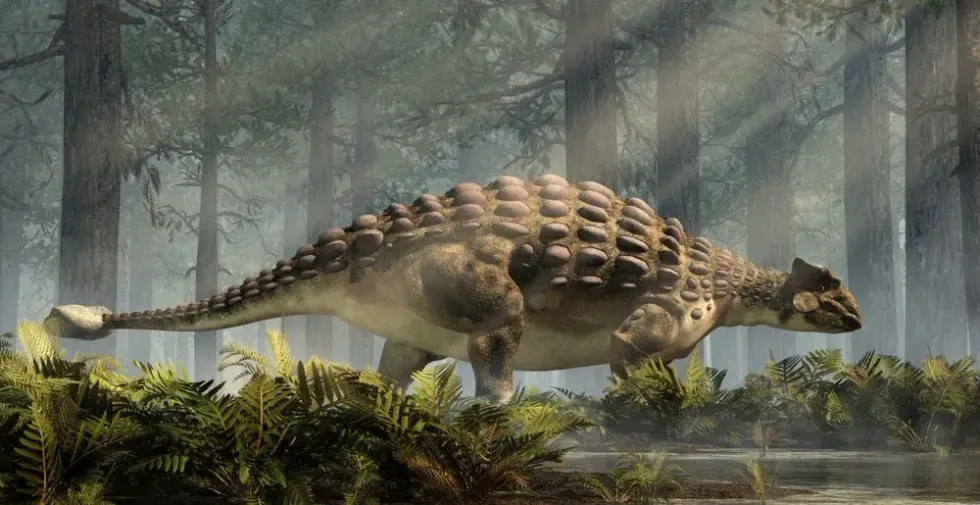 Interesting Ankylosaurus facts include that they were herbivores.