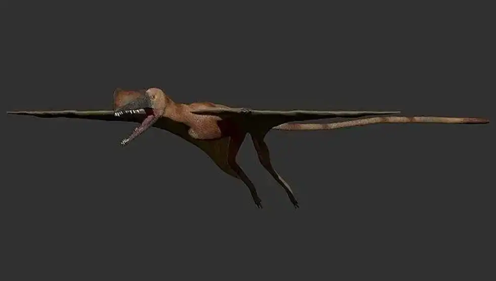 Interesting Austriadactylus facts for kids.