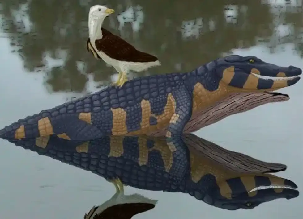 Interesting Avisaurus facts include details about its history, diet, length, range, and era.