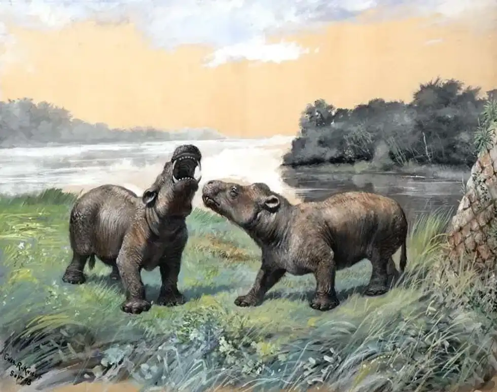Interesting Coryphodon facts including its natural habitat, history, fossil remains, brain size, related pantodonts, and range.