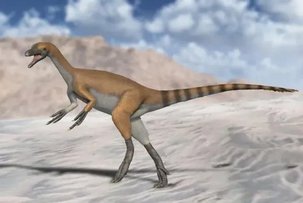 Interesting dino-mite Haplocheirus facts! 