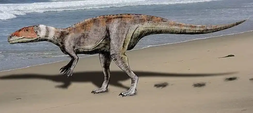 Interesting Dubreuillosaurus facts for kids.