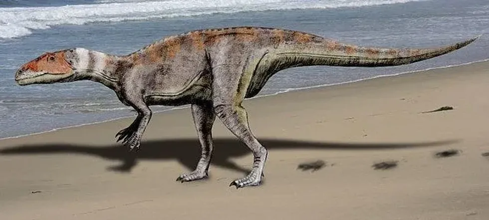 Interesting Dubreuillosaurus facts for kids.